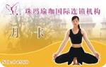 健身卡|瑜伽卡